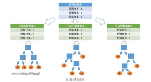 品类选择的考量与决策
