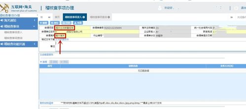 官方查询系统使用指南