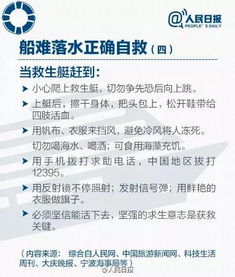 3. 选择平安可靠的运输车辆