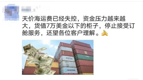 成绩单背后的故事：十个月连续增长，产业链供应链抗压Neng力持续验证