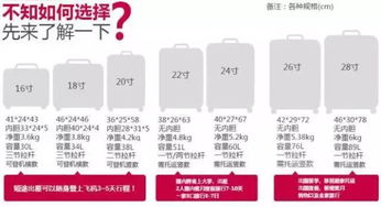 dui与这些物品，乘客需要将其托运或放弃携带。