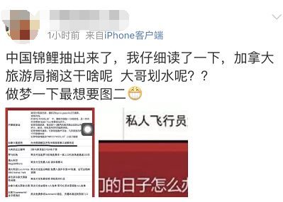 税务登记与收税问题