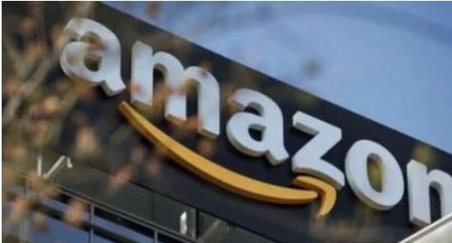 日本监管机构的严格审查