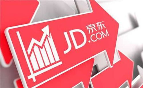 一、 京东达人专注领域的定义与重要性