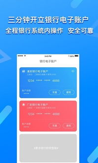 Emag广告系统的预付费模式及其重要性