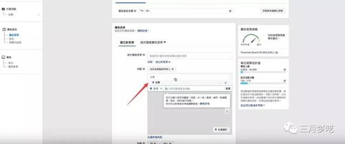 二、 设置运营团队角色