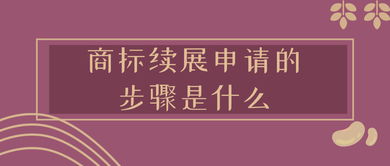 七、 商标续展及商标“续用声明”（Combined Section 8 Declaration Section 9 Renewal）