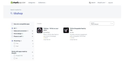 独立站的流量挑战与TikTok的机遇