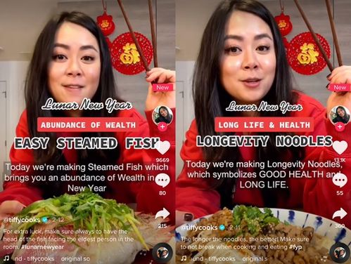 美食博主“舌尖上的中国”：美食诱惑， 视觉盛宴