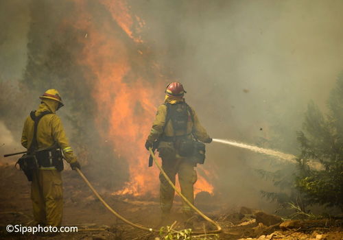 一、 UPS北美地区尾程配送准时率再创新高