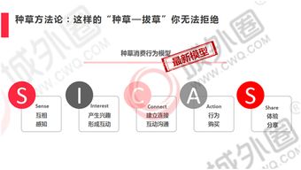 五、优质KOL推广：粉丝基础与报价策略