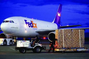 智利本土运营服务团队及专业服务商