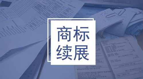 2. 商标续展申请表