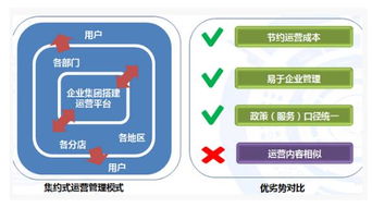 物流配送与售后服务：确保交易顺利进行