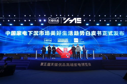 聚焦下沉市场， 服务多元化