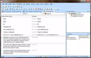 二、 选择合适的翻译工具