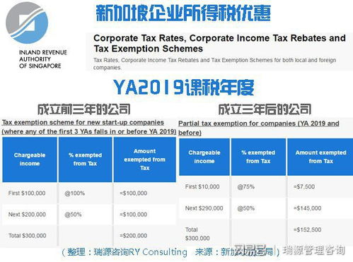 预算规划与专业咨询