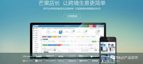 新手跨境电商卖家的巨大挑战