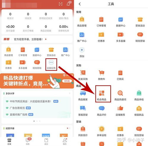 机会商品的识别与发布