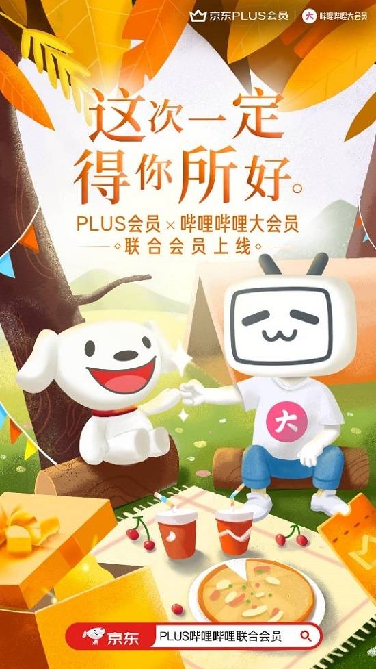 京东PLUS联名卡的会员权益一览