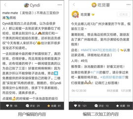 四、 店铺运营策略