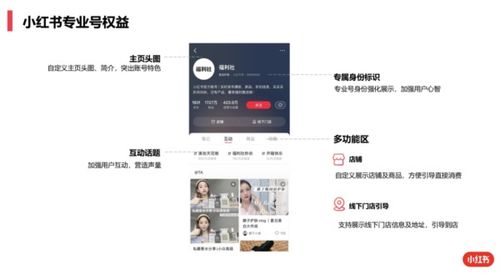 一、店铺注销的流程与注意事项