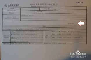 3. 配合银行调查