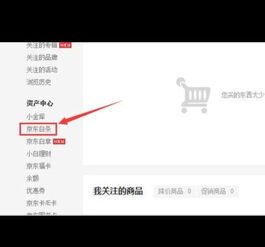 2. 激活京东白条