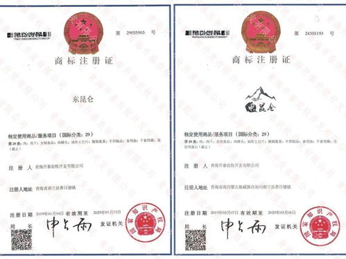 商标注册：保护品牌， 拓展市场