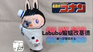 二、 Labubu防尘壳的设计特点