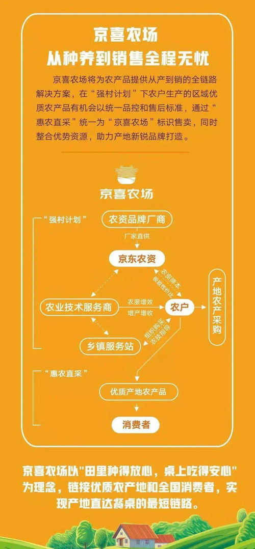 三、 如何优化京喜大促活动运营及提报流程