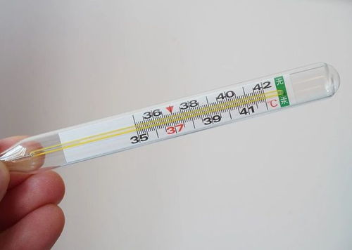 水银体温计的替代品：传承与创新