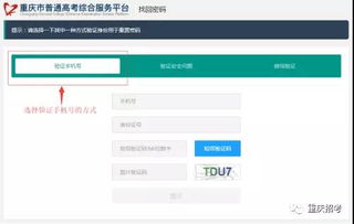 二、 卡派追踪编码的具体填写内容