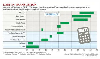 文化背景的影响