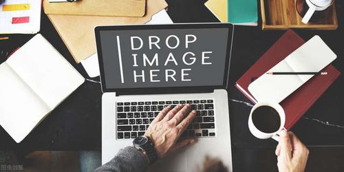 1. 变现渠道的多样性