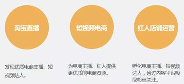 抖音月涨粉丝353.6万：数据背后的故事