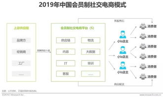 中东社交电商市场的平台布局