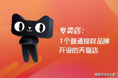 1. 旗舰店适合的品牌