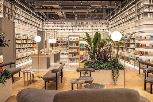 新店铺的孵化期：耐心与智慧的较量