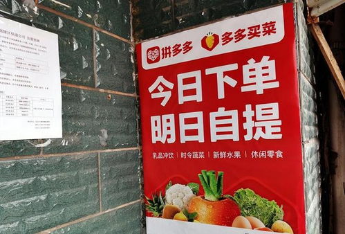 1. 具有合法的营业执照和相关资质证明