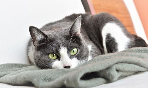 一、 天猫判定Zuo单的影响及后果