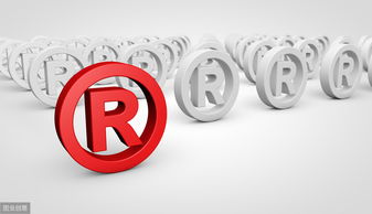 商标国际注册注意事项