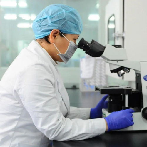 六、 致病菌限量