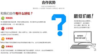 二、影响代运营费用的因素