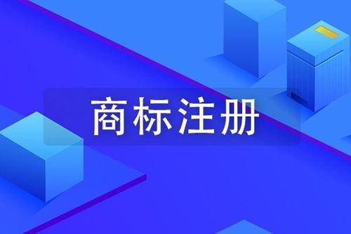 商标权属的明确与品牌策略的制定
