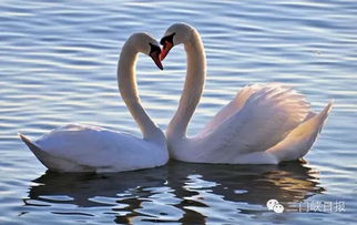 2.1 节省时间和精力