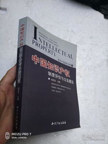 中国知识产权立法的早期背景