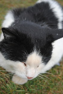 一、 天猫平台对补单行为的界定