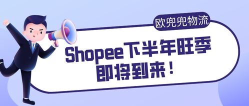 二、 Shopee运营日常工作内容