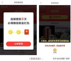 三、 机会商品的运营策略